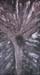 crocefisso02