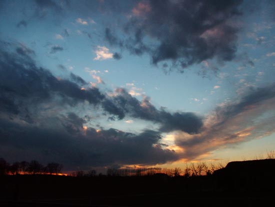 DSCF0535