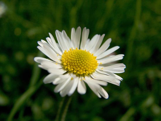 DSCF1086