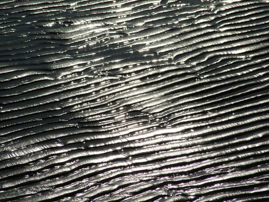 DSCF1543