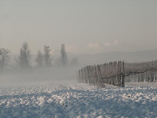 DSCF3667