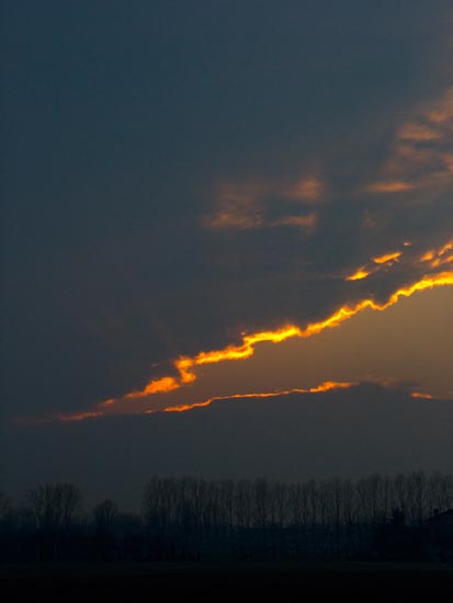 DSCF4581