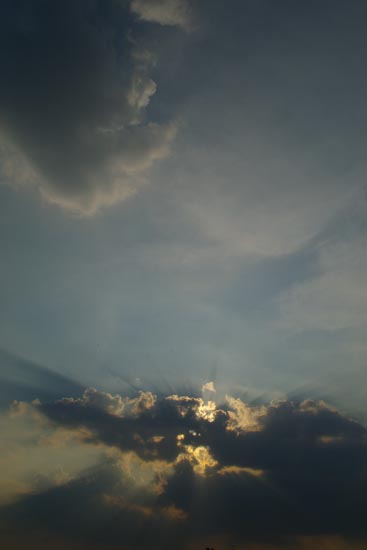 IMGP0038